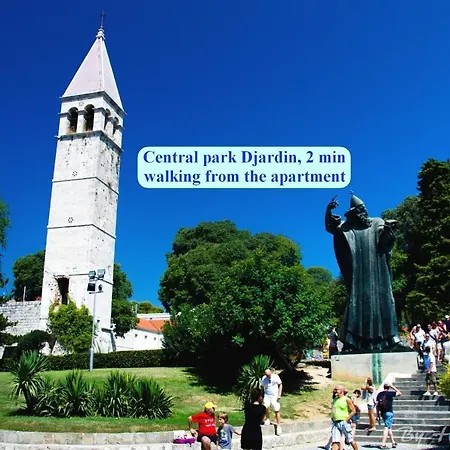 Classy In The Center Of Daire *