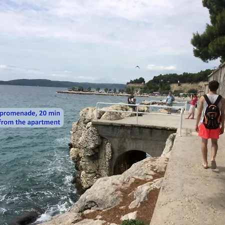 Classy In The Center Of * Split