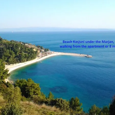 Classy In The Center Of Daire