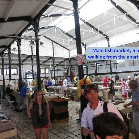 Daire Classy In The Center Of Split